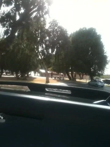 Backseat 2