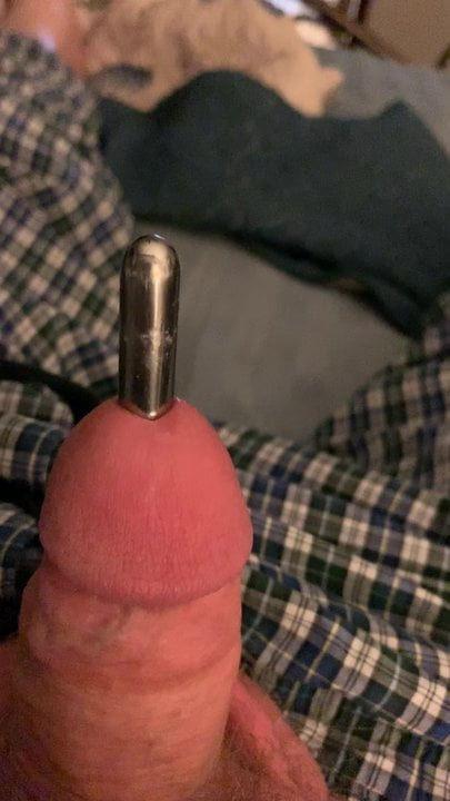 Sounding my dick