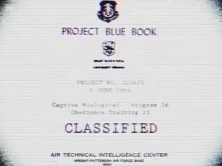 Синяя книга проекта
