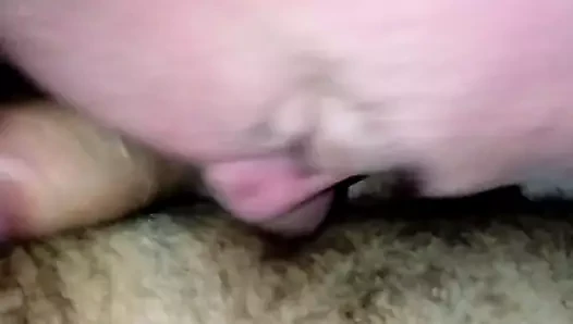 Ayı sert seviyor