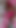 Captivating moment from "Amazing Solo by Sexy MILF Candi Annie with Garden Gnome!"