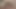 Daddys Cock