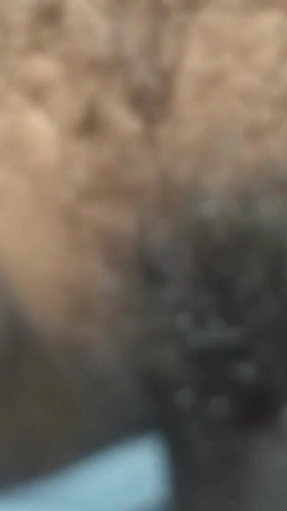 Desi sexy bhabhi sex in home | Clip 3