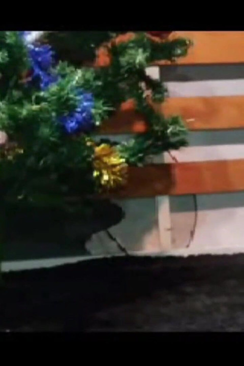 Stepmother Christmas Assembles Her Christmas Tree 2025