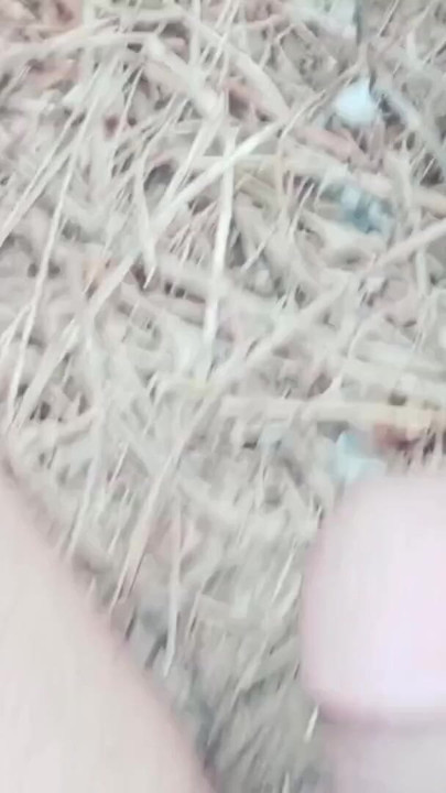 Captivating moment from "Hand shots"