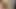 DeeDeeSlut69 Sucking Multi Cocks