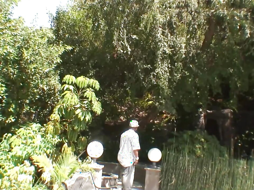 Lis zjada wszystko (Część 2)