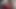 Merry Spunkmas Ho Ho Ho! Naughty MILF with 3x BBC