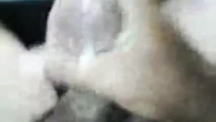 Boşalma