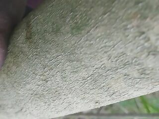 Bacharel em árvore na floresta em vídeo de sexo