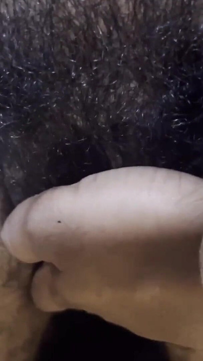 Unforgettable moment from "desi bhabi fingering in hairy pussy"