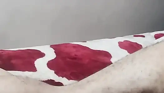 Arab Porn Moroccan