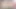 Sarışın beyaz amcık azgın oda arkadaşı Mila eski sevgilisine amını yalıyor - teenmegaworld
