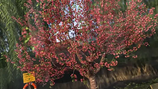 De Bauchery'nin adımları 25 vr nasıl ıslandım inanılmaz aşktı