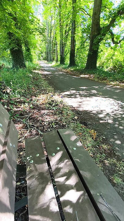 Соло мастурбация на скамейке в лесу