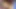 Tamil hot Actress Rakhul Preet Singh Navel Pic, Video Edit