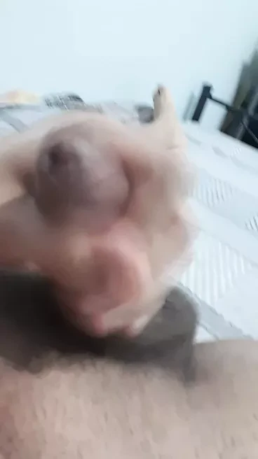 Ready to cum