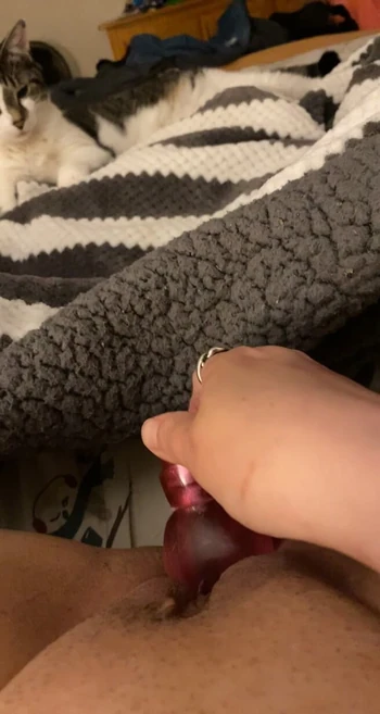 Toy play