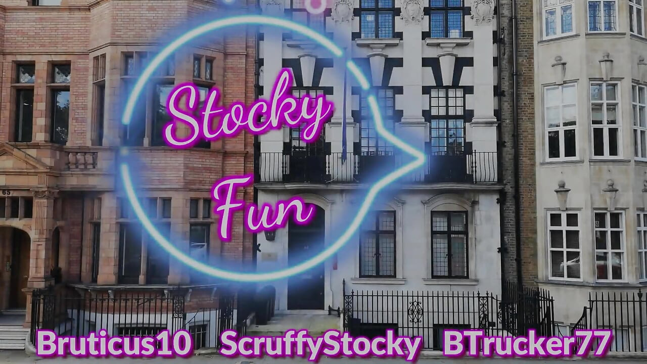 Stocky Fun