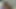 Hot and Horny Iranian Persian Sex Porn