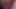 BBW Pussy Licking and Vibrator Play
