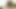 indian village bhabhi anal assfucking
