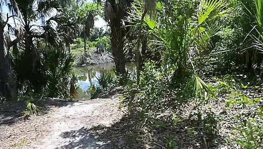 Full Day Video
