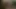 Petite military babe Stoya office demands oral from private