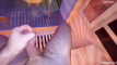 Pregled videozapisa