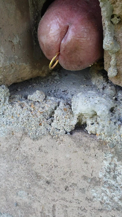 Sensitive place to push cock through rough wall