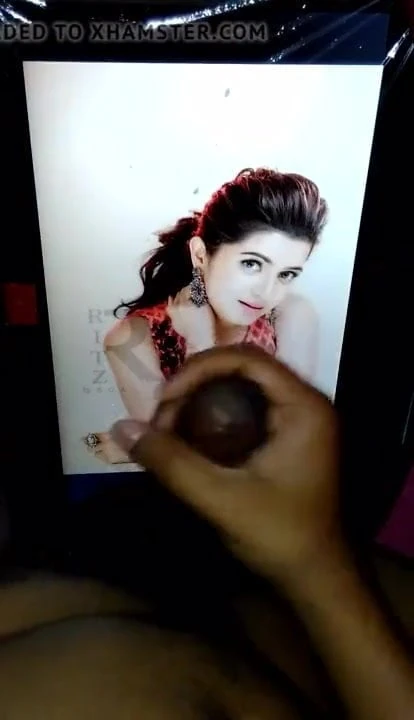 DD iyer thevidiya cum tribute