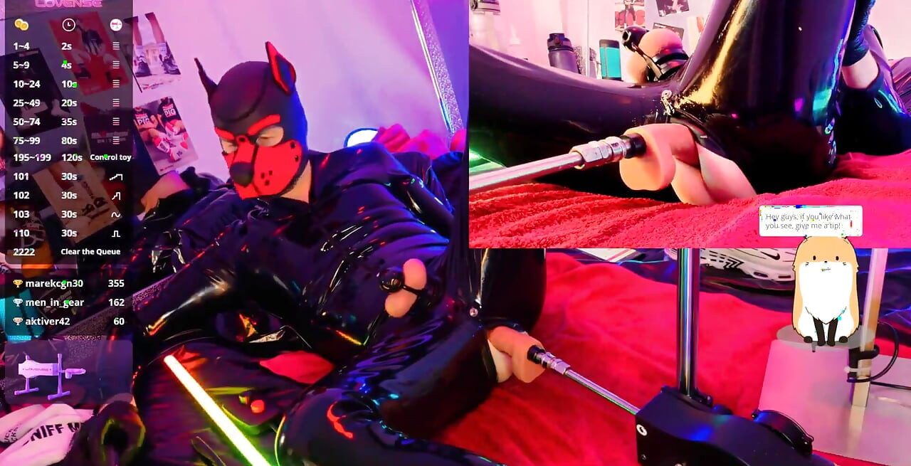 Nicolaus Rubber Show with Pet Mask