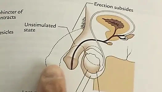 Genç öğrenci büyük siyah yarak emerken dildoyla oynuyor