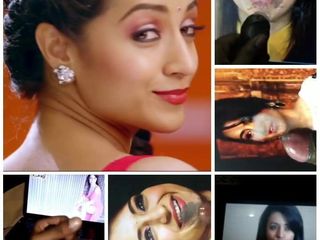 Trisha Krishnan cum tributes montage