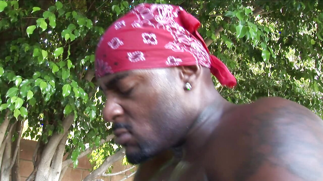 Zwarte vrouw met dikke kont wordt geneukt door een grote zwarte lul