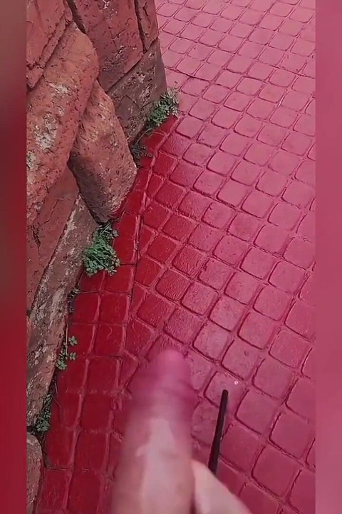 Lenara grimwood dick羞辱和颜射