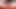 Solo #12 (Using electric toothbrush on my rigid uncut cock and then wanking furiously to a big super close up load)