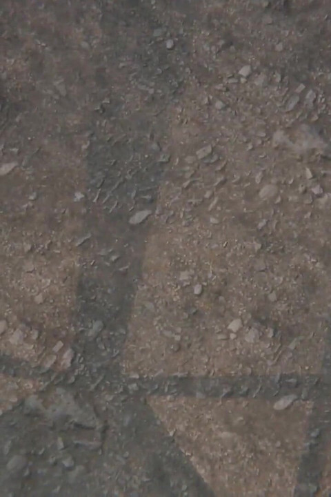 白雪公主和我的大鸡巴（肛交）blacksheep ovca