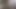 quick cum flood