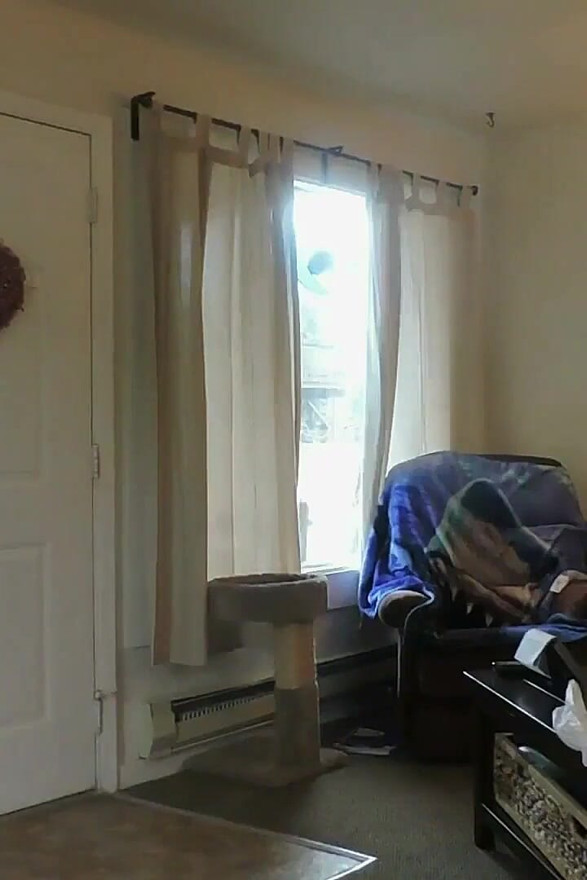 Stor slapp pattemormor holder camshow