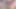 Double Dildo Couple Girl and Trans Compilation