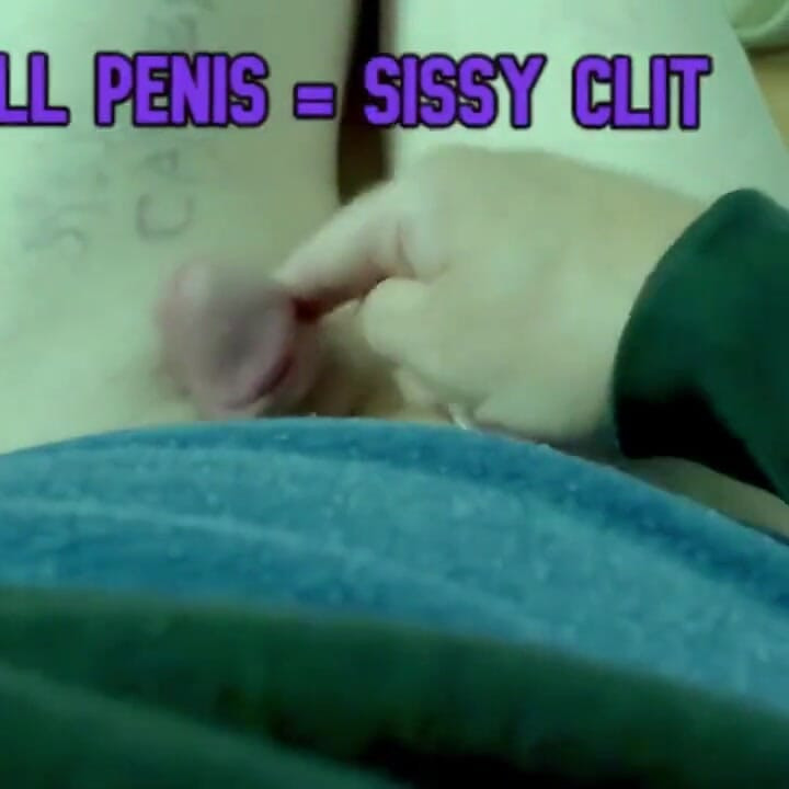 Sissy bear has a small one its a sexy sissy clit