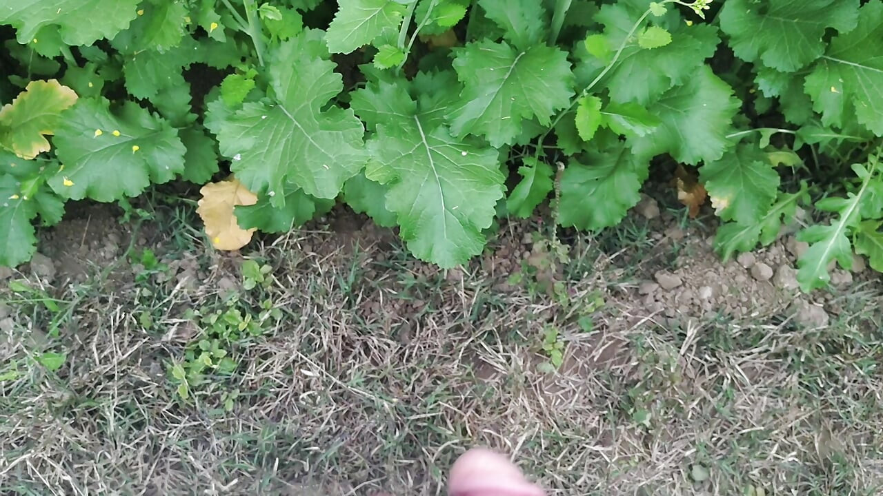 Apni madam ki chaddi se land katwaya