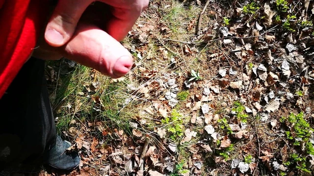 Boy wanks his dick in the woods