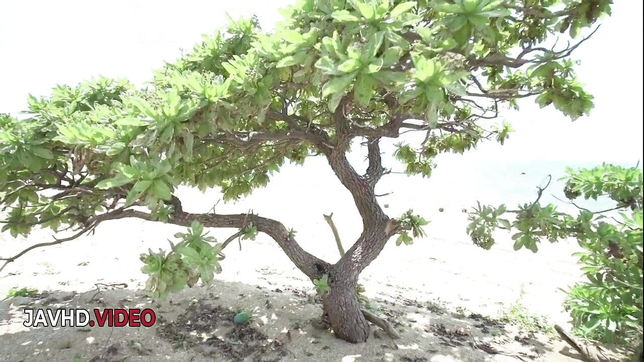 Belleza asiática se vuelve loca en un trío al aire libre