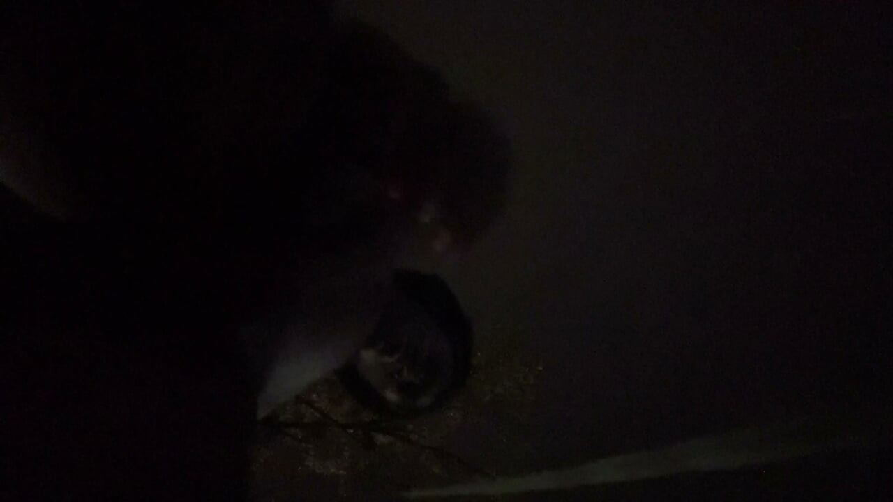 Fooling Around At Night Outside On The Sidewalk Fully Naked Final Part 5 Where I Nut On Yo Face