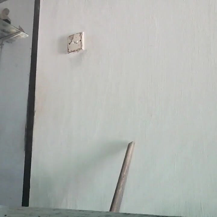 Morning watching my ass