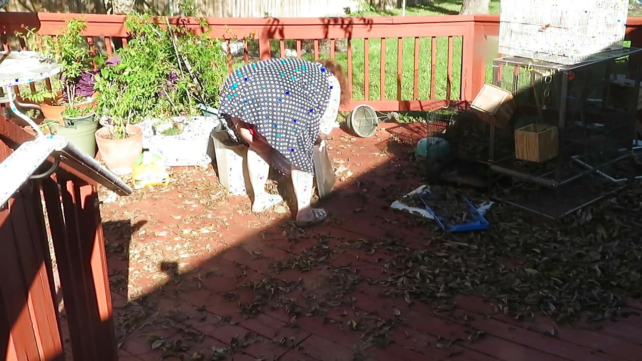 Playing in my garden showing off my tits belly ass, legs and fat pussy flashing you while cleaning up my leaves! red lace thong!