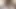 4k yumruklama kedi