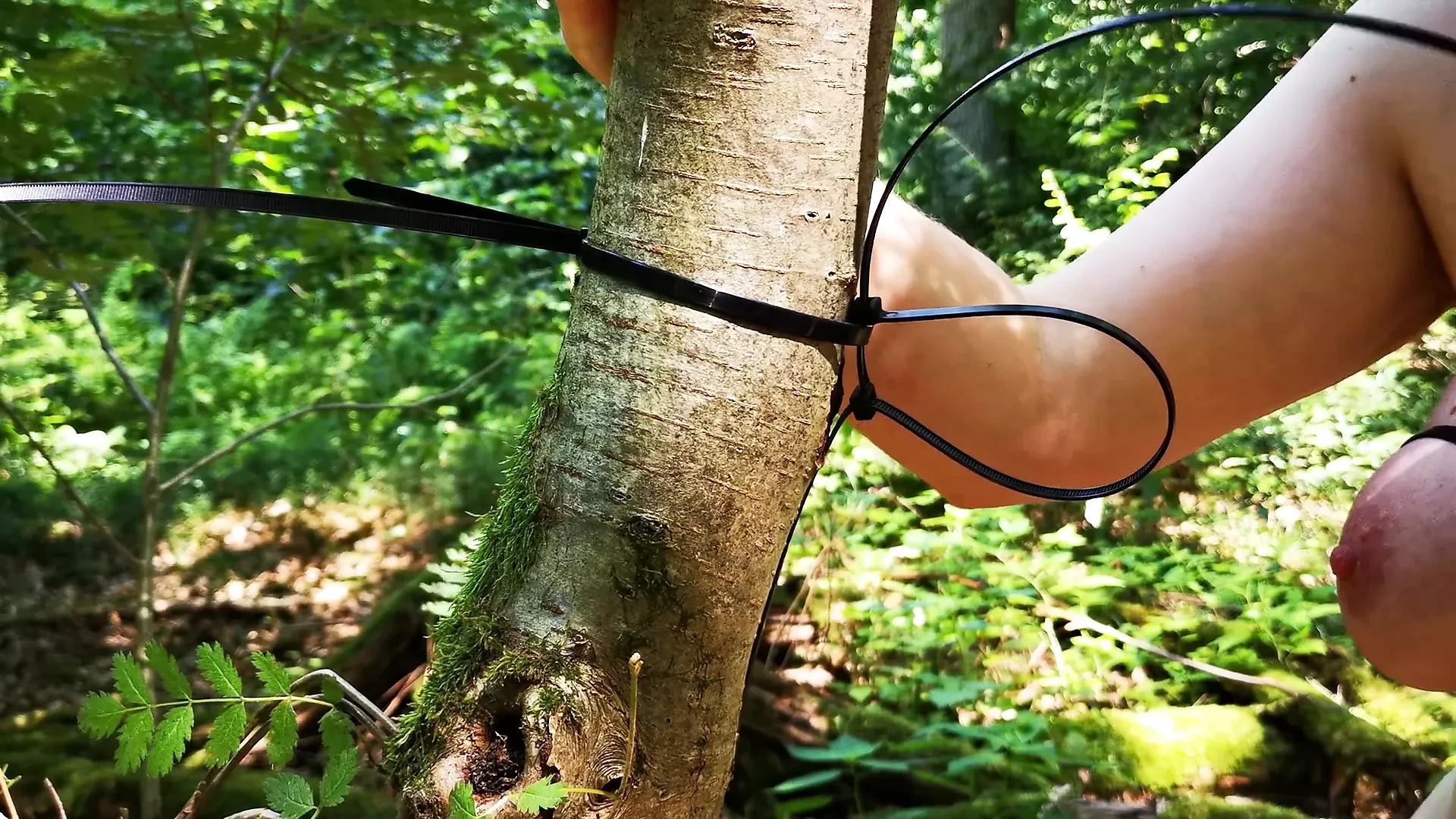 Lega le sue tette all'albero e frustale forte
